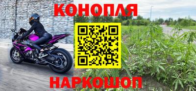 стафф Новодвинск