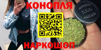 стафф Новодвинск