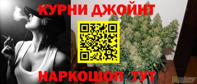 стафф Новодвинск