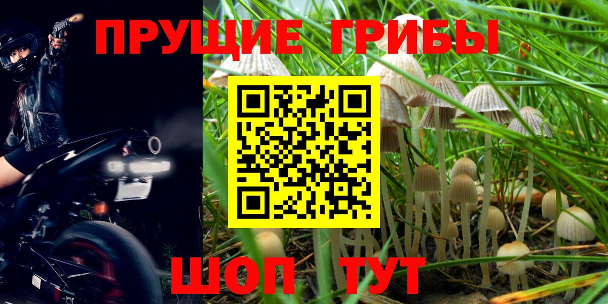 Псилоцибиновые грибы Cubensis  Вход с VPN  Орск 