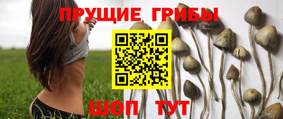Псилоцибиновые грибы MAGIC MUSHROOMS Орск